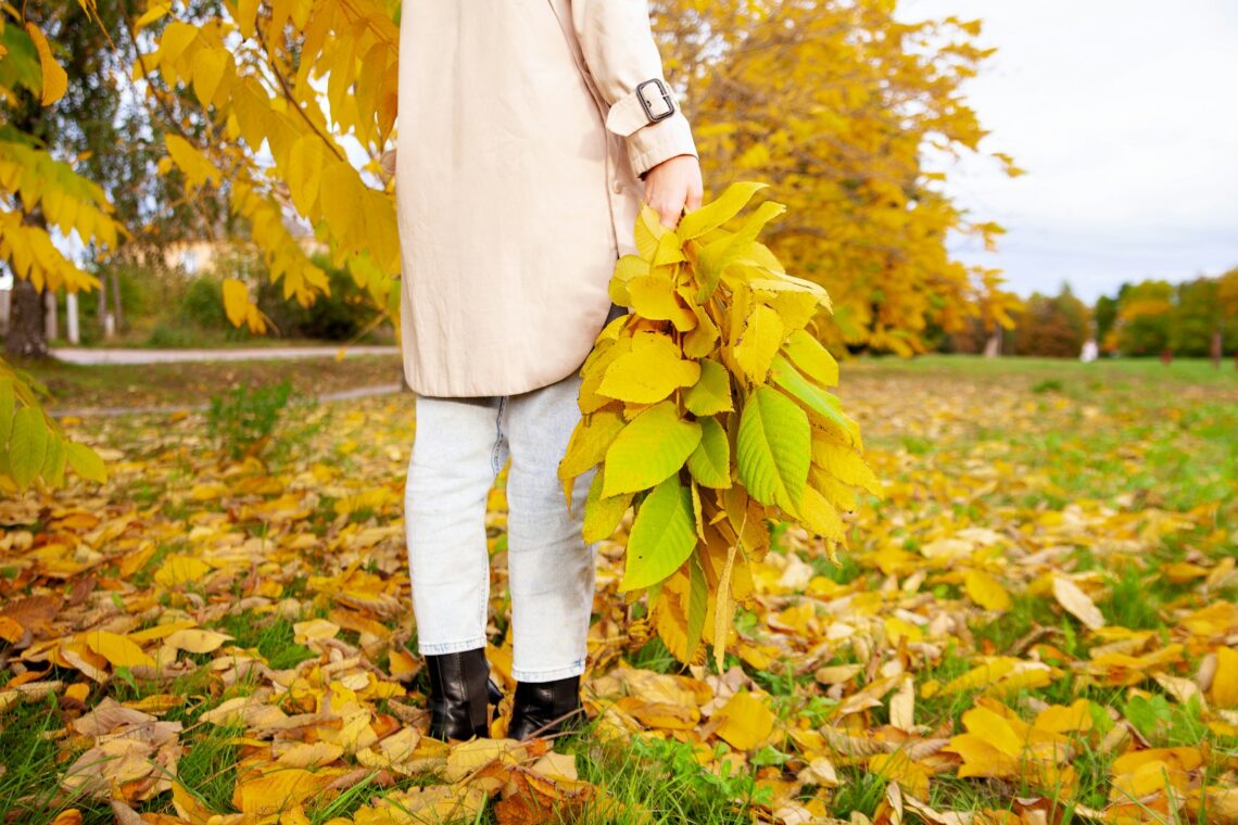 a person holding a leaf