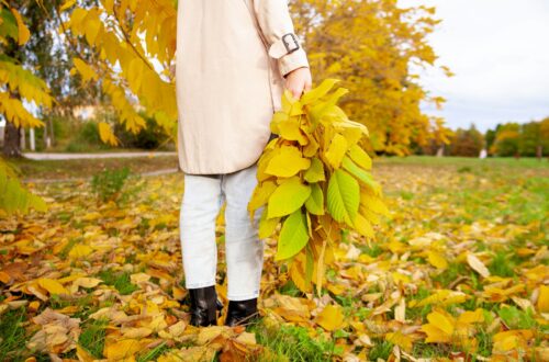 a person holding a leaf